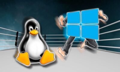 Why Linux VPS Is Dominating the Developer Ecosystem in 2025