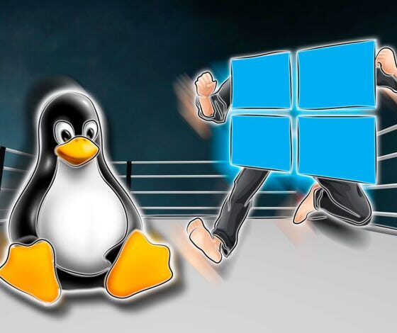 Why Linux VPS Is Dominating the Developer Ecosystem in 2025