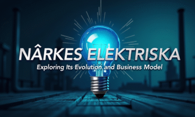 Introduction to Närkes Elektriska: Powering Homes and Businesses