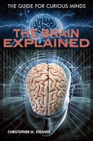 Znxnz: A Comprehensive Guide for Curious Minds