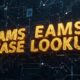 Everything You Need to Know About EAMS Case Lookup: A Complete Guide